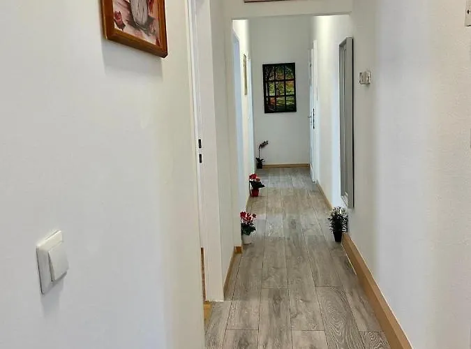 Appartement Deluxe 3p Th Vienne
